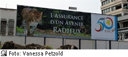 'Das Versprechen einer strahlenden Zukunft' - und das Cinquantenaire-Logo, ein ca. 8 Meter breites Plakat am Boulevard du 30 Juin, Kinshasa (Foto: Vanessa Petzold)