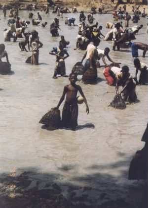 Gemeinschaftlicher Fischfang am Ende der Trockenzeit nahe des von Pwo und Dagara bewohnten Dorfes Gbatare (Dept. Koti, Prov. Tuy). Foto: M. Oberhofer, 1999.