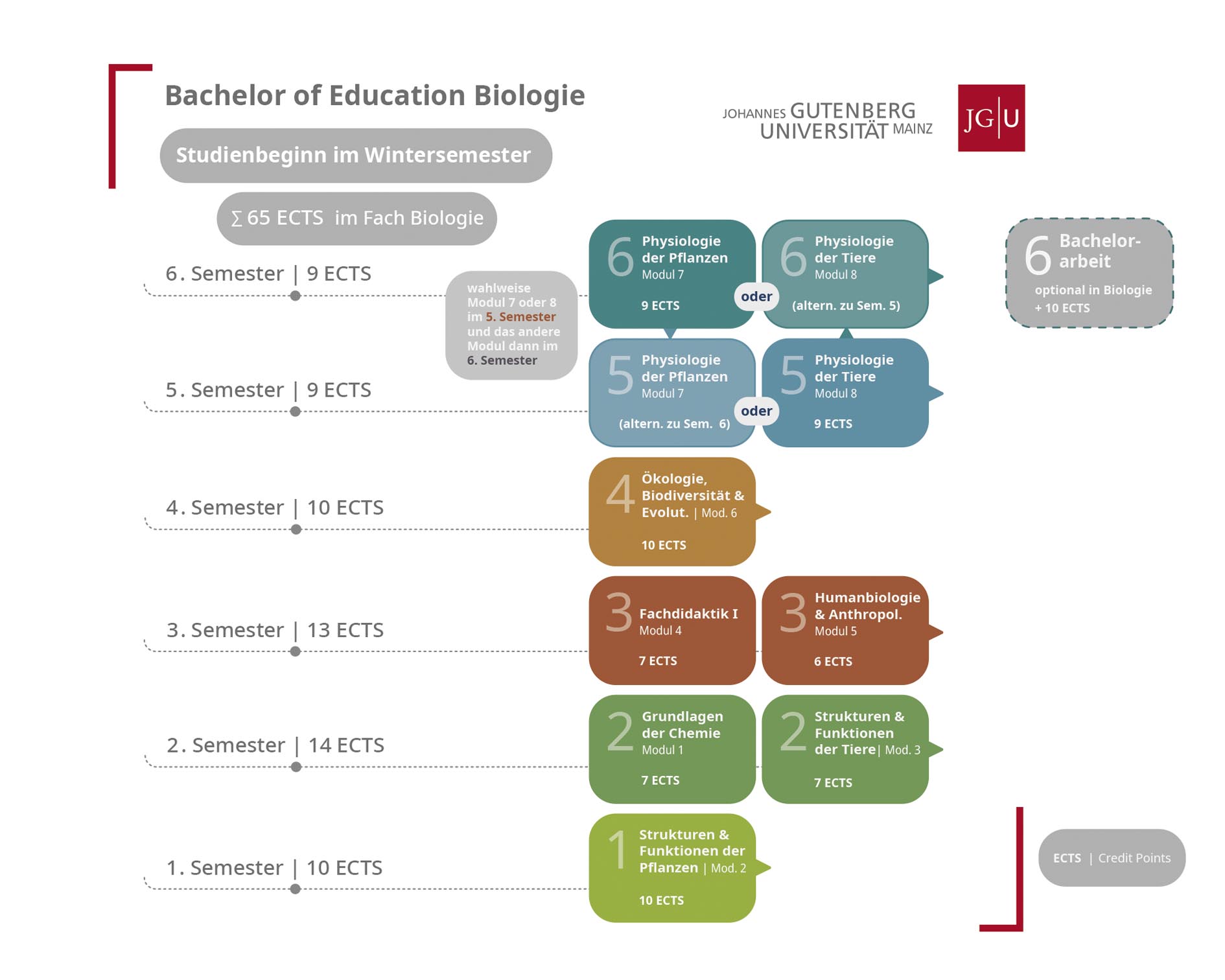 Download Center Fachbereich 10 Biologie download-center-fachbereich-10-biologie